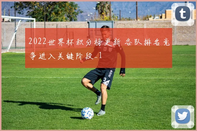 2022世界杯积分榜更新 各队排名竞争进入关键阶段_1