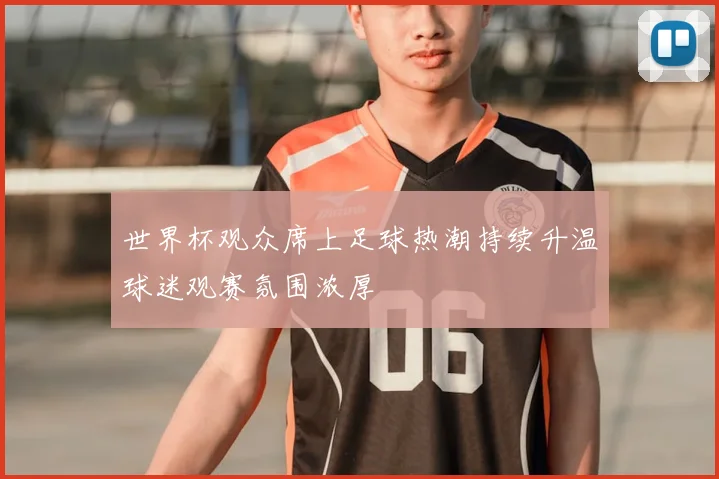 世界杯观众席上足球热潮持续升温球迷观赛氛围浓厚