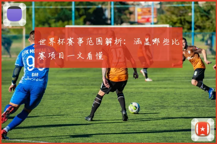 世界杯赛事范围解析：涵盖哪些比赛项目一文看懂