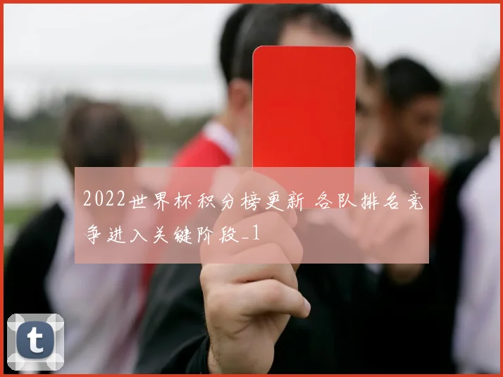 2022世界杯积分榜更新 各队排名竞争进入关键阶段_1