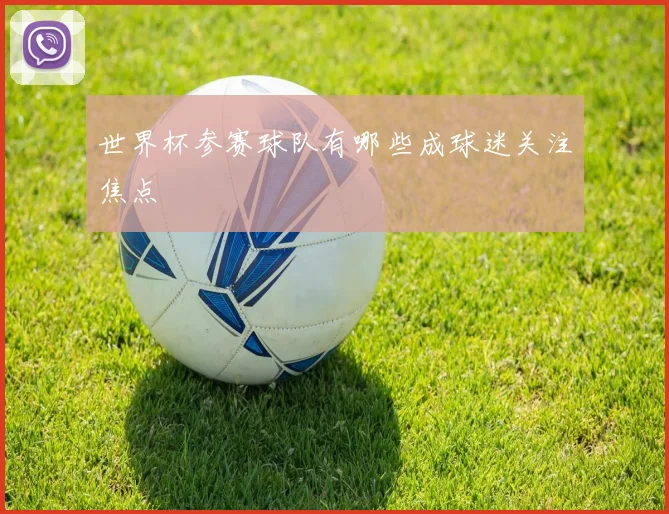 世界杯参赛球队有哪些成球迷关注焦点